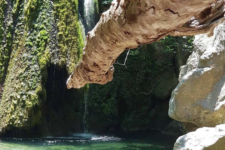 VIP Luxury Private Tour- Half Day - 4x4 Excursion with Land Rover