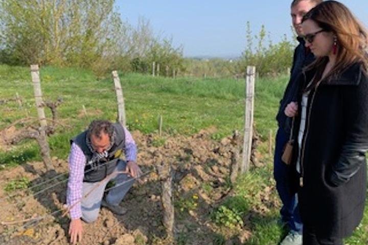 English Speaking Loire Winery Tours originating from Chinon