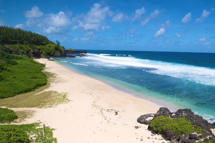 Enchanting South West - Full Day Tour with CASELA Park and Lunch