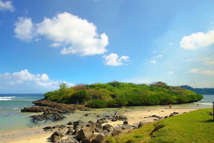 Enchanting South West - Full Day Tour with CASELA Park and Lunch