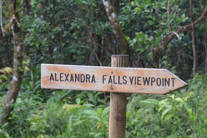 Enchanting South West - Full Day Tour with CASELA Park and Lunch