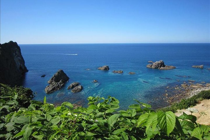 Hokkaido Day Trip to Shakotan Peninsula from Sapporo