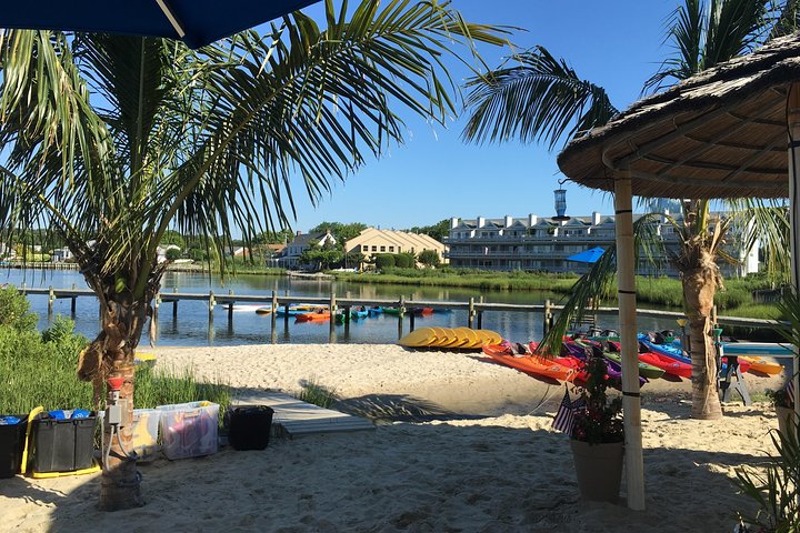2-Hour Paddleboard Rental in Rehoboth Bay