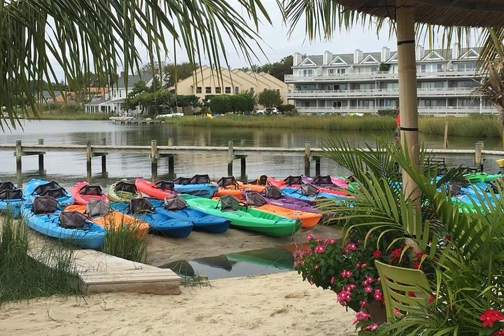 2-Hour Paddleboard Rental in Rehoboth Bay