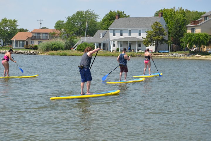 2-Hour Paddleboard Rental in Rehoboth Bay