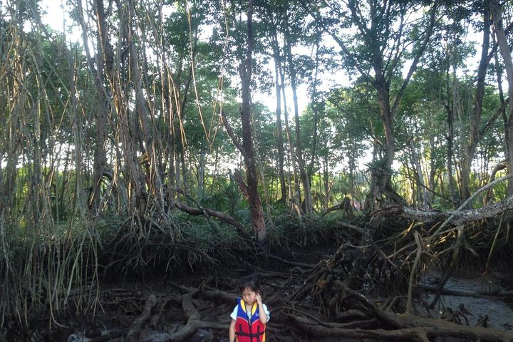 Private Proboscis Monkey, Water Village and Night Tour