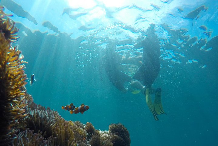 Guided Snorkeling Day Trip, Kota Kinabalu, Sabah, Malaysia