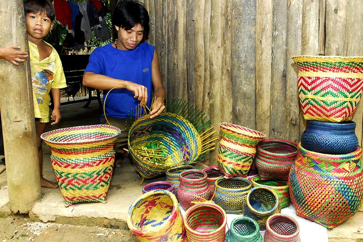 Santos Shore Excursion: Full Day Rain Forest Indian Reservation