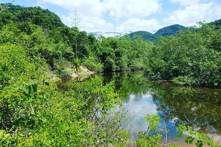 Santos Shore Excursion: Full Day Rain Forest Indian Reservation