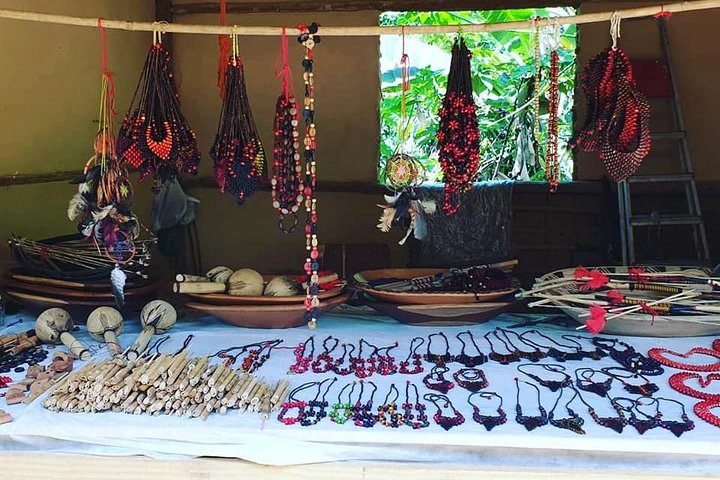 Santos Shore Excursion: Full Day Rain Forest Indian Reservation