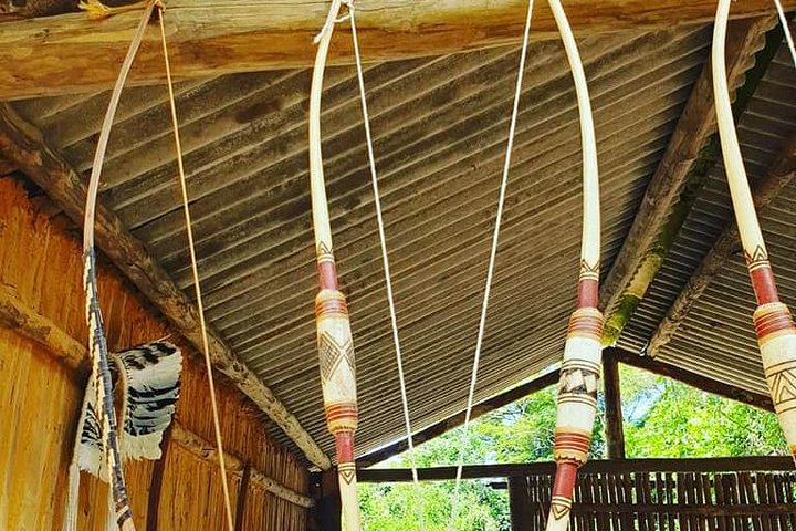 Santos Shore Excursion: Full Day Rain Forest Indian Reservation