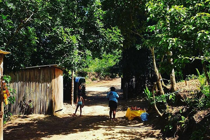 Santos Shore Excursion: Full Day Rain Forest Indian Reservation