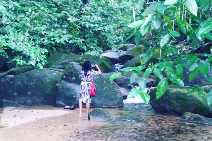 Santos Shore Excursion: Full Day Rain Forest Indian Reservation