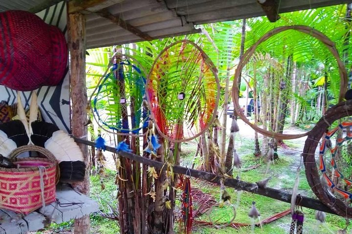 Santos Shore Excursion: Full Day Rain Forest Indian Reservation