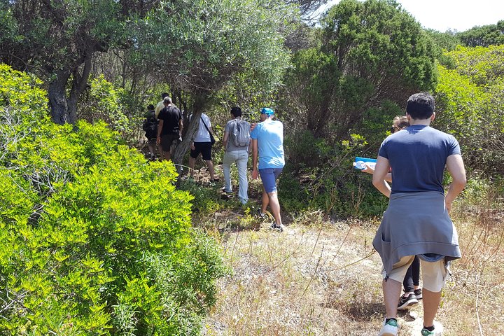Cagliari: Hiking at the Ancient Roman Road from Chia