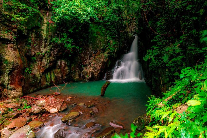 Mambukal Resort Day Tour In Bacolod
