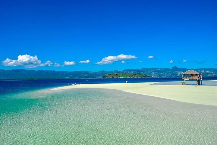 Dumaguete Dolphin Watching & Manjuyod Sandbar