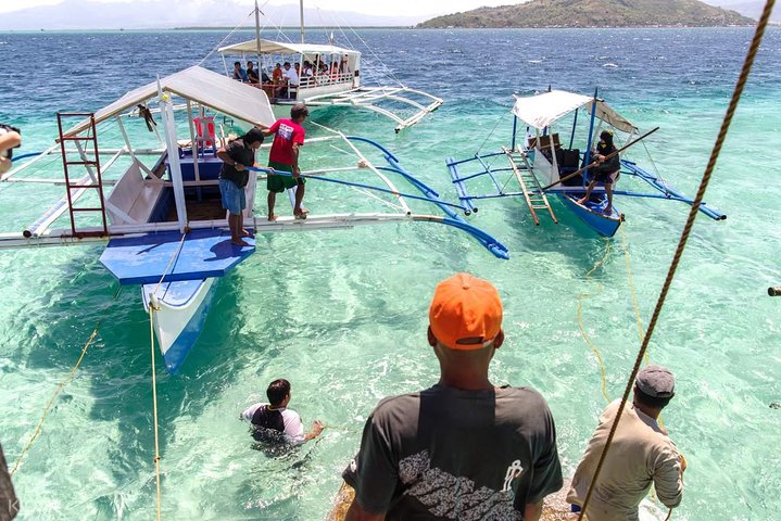 Dumaguete Dolphin Watching & Manjuyod Sandbar