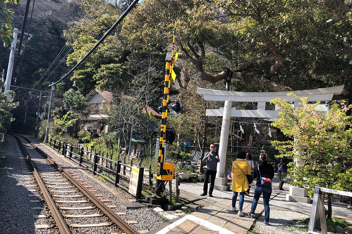 Kamakura Scenic Bike Tour