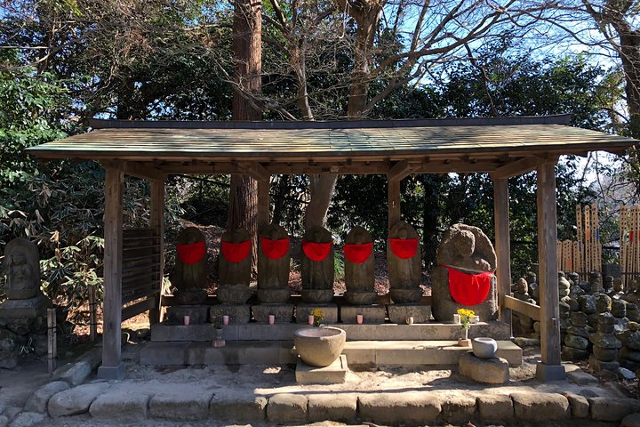 Kamakura Scenic Bike Tour
