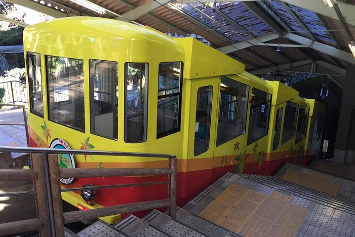 Full Day Hiking Tour at Mt.Takao including Hot Spring