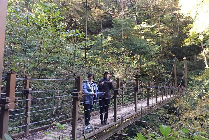 Full Day Hiking Tour at Mt.Takao including Hot Spring