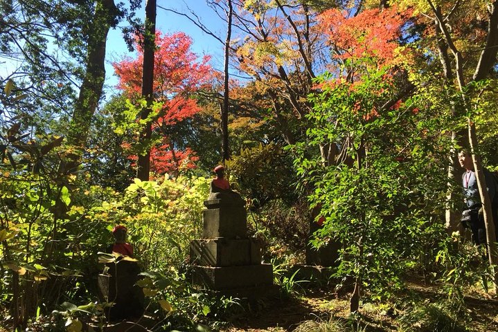 Full Day Hiking Tour at Mt.Takao including Hot Spring