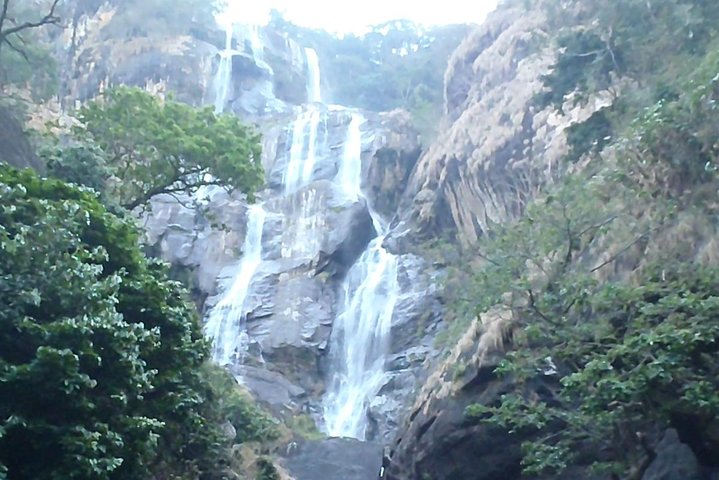 3-days In Mikumi And Udzungwa Mountain National Parks
