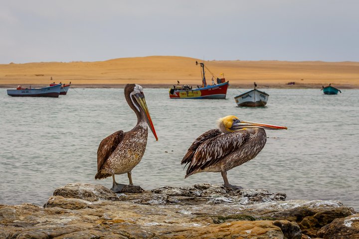 Paracas Reserve from PISCO CRUISE SHIP TERMINAL