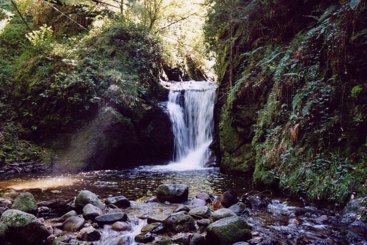 The best in Baden-Baden surroundings and Black Forest. Start from Baden-Baden