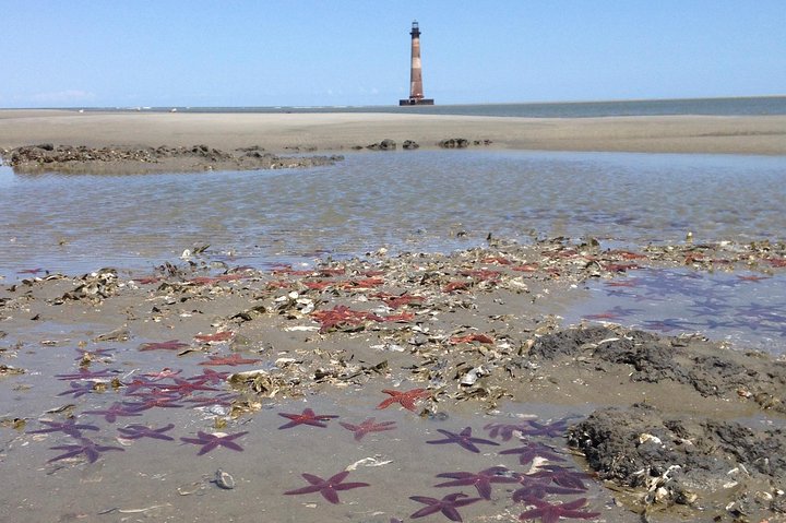 Private Dolphin Watch, Lighthouse and Ecological Boat Tours