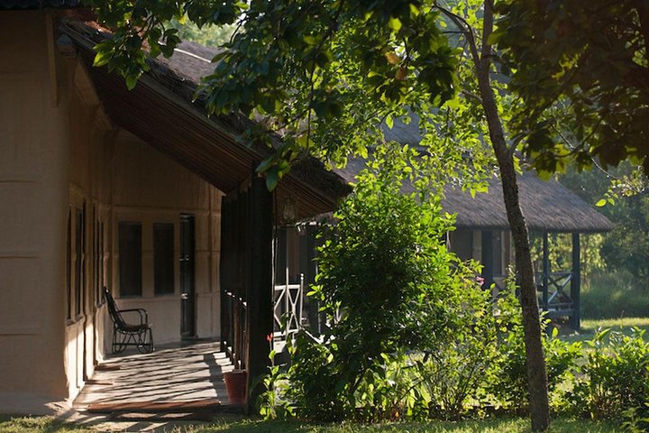Bardia National Park package with Tiger Tops Karnali lodge