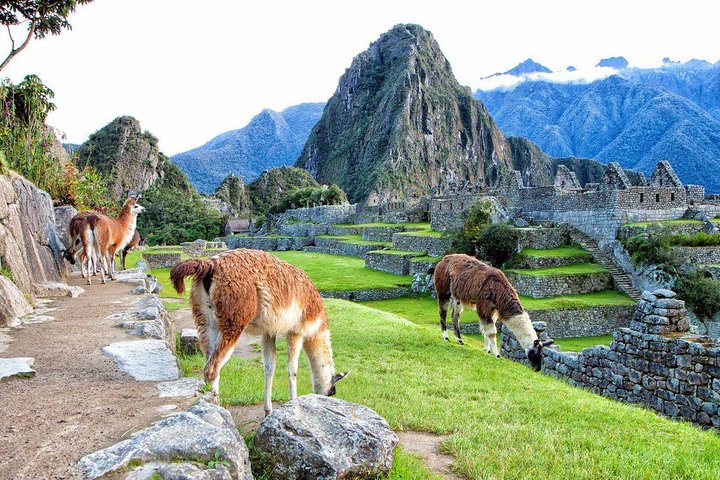 Machu Picchu Day Trip from Cusco: Full-Day Guided Tour