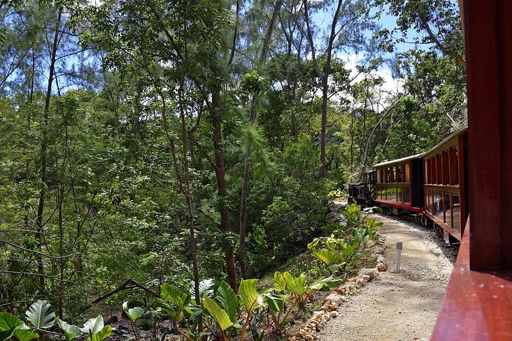 Victorian Steam Railway Cherry Tree Hill (+Great House Optional)