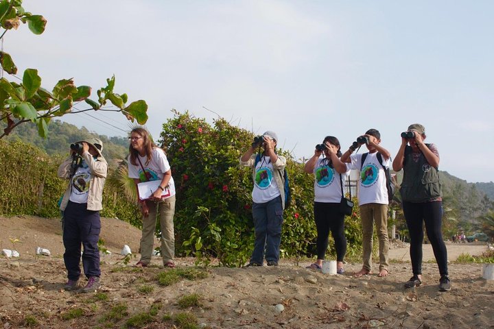 Bird Watching Tours with Sandra Plúa - Manabi, Ecuador