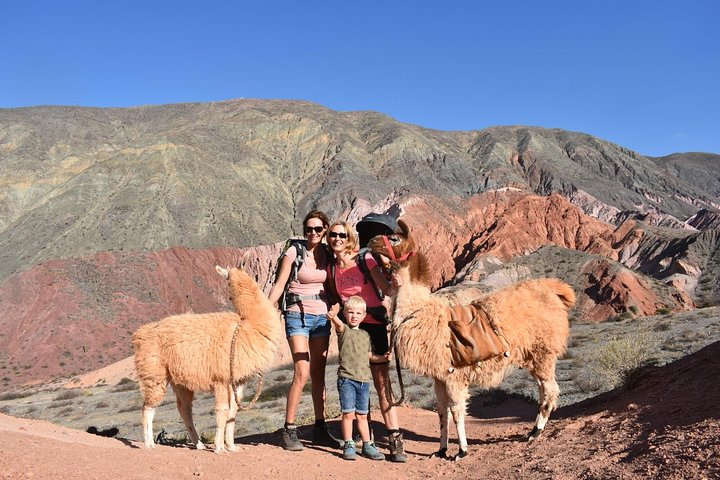 Purmamarca Walk with Llamas