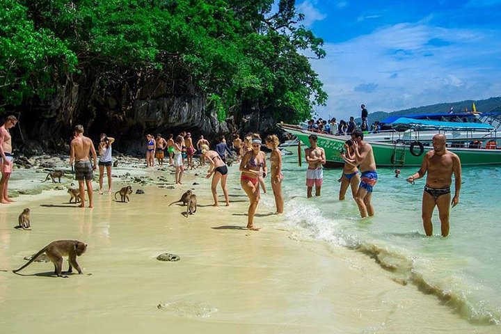 Phi Phi Island Half Day Tour From Phi Phi by Longtail Boat