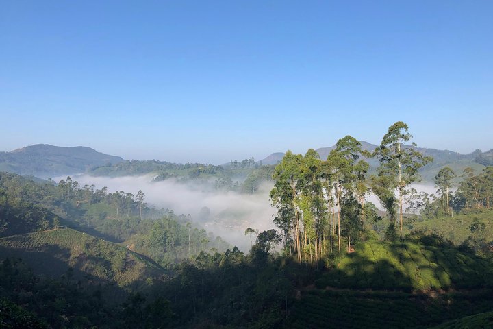 Mountain Hiking in Munnar (half day) By Munnar Info