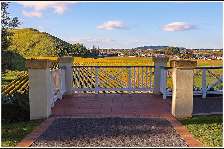 Shore excursion: Napier-Premium Wineries & Sights /Art deco tour