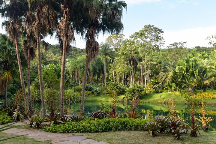 Inhotim - one of the largest open air museums in the World