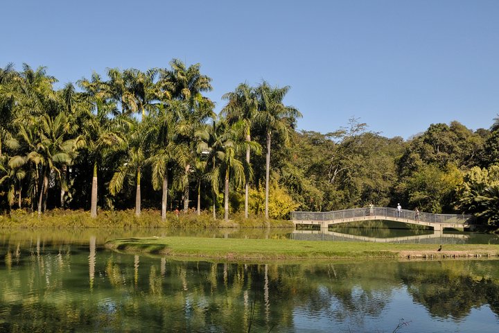 Inhotim - one of the largest open air museums in the World