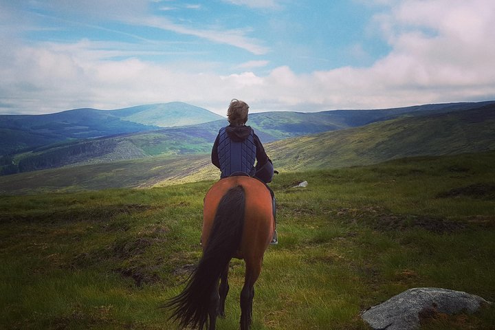 Wicklow Mountains Horse Trekking