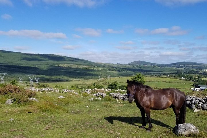 Wicklow Mountains Horse Trekking