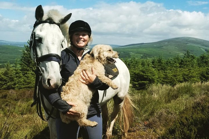 Wicklow Mountains Horse Trekking