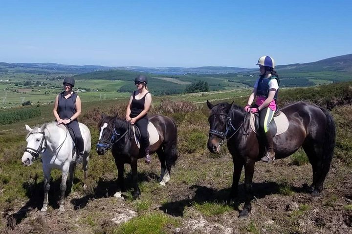 Wicklow Mountains Horse Trekking