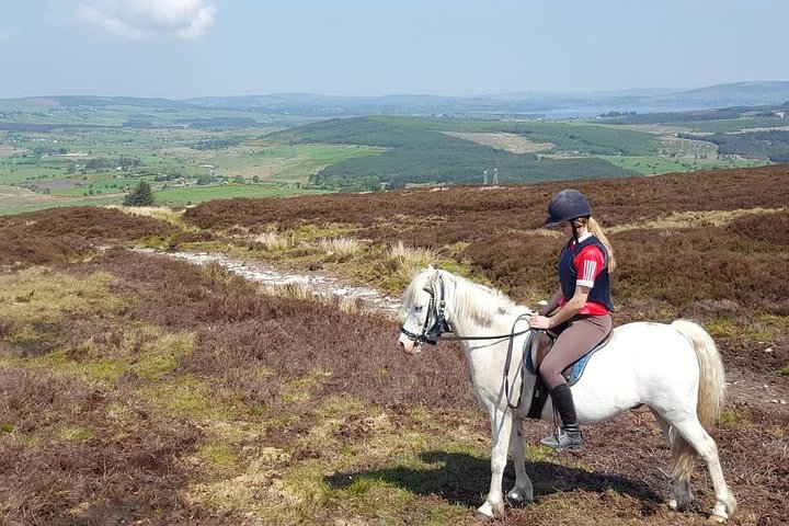 Wicklow Mountains Horse Trekking