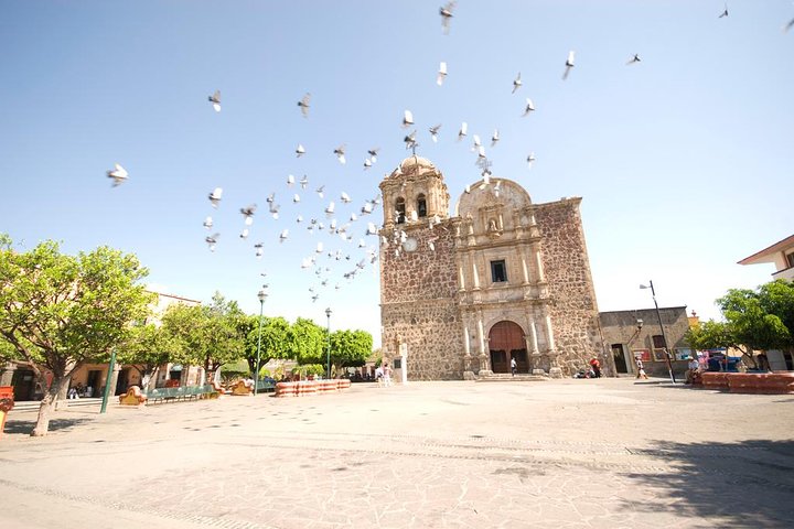 Tequila Day Trip from Guadalajara with Jose Cuervo Express Train