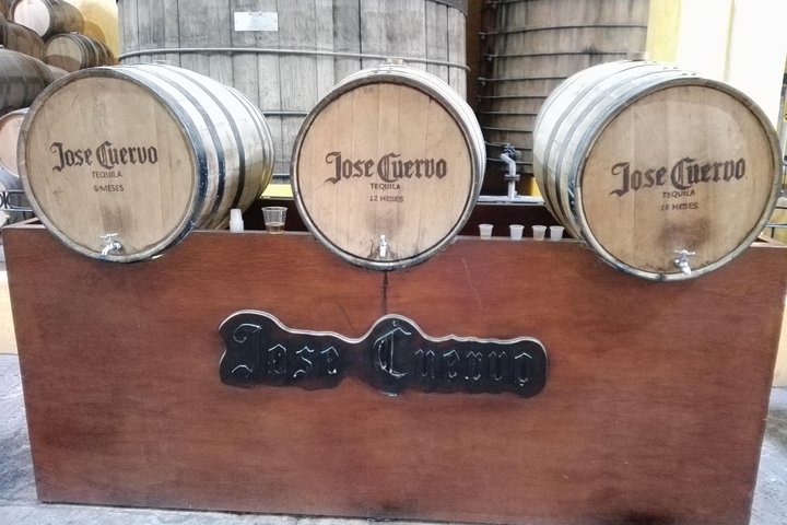 Tequila Day Trip from Guadalajara with Jose Cuervo Express Train