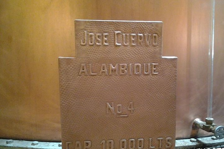 Tequila Day Trip from Guadalajara with Jose Cuervo Express Train