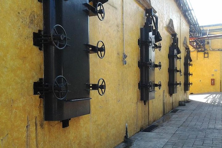 Tequila Day Trip from Guadalajara with Jose Cuervo Express Train